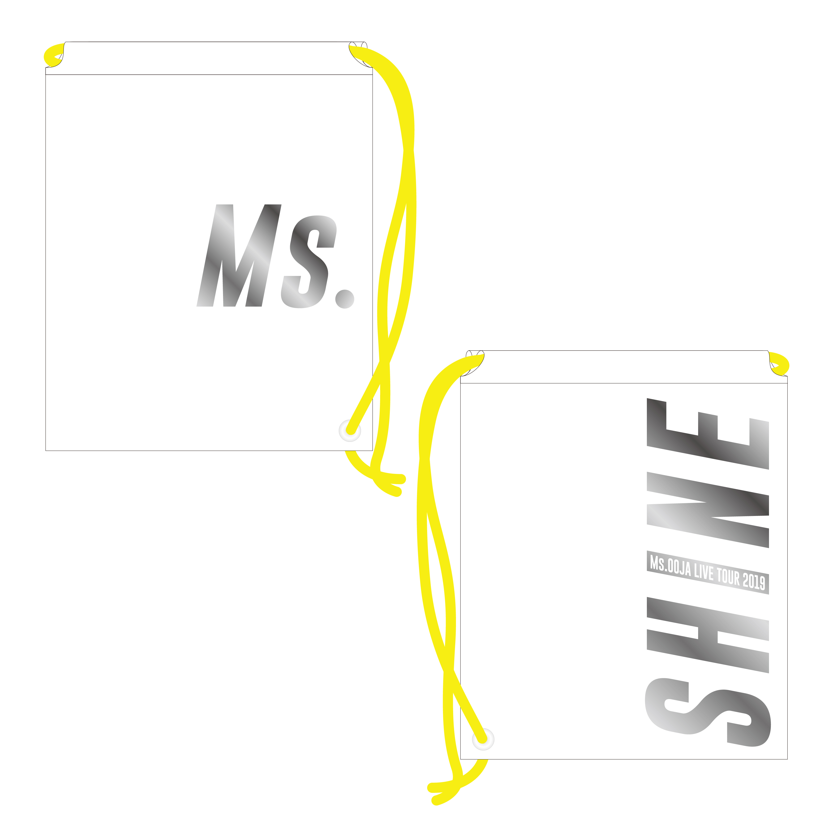 shine_item-09.jpg (533 KB)